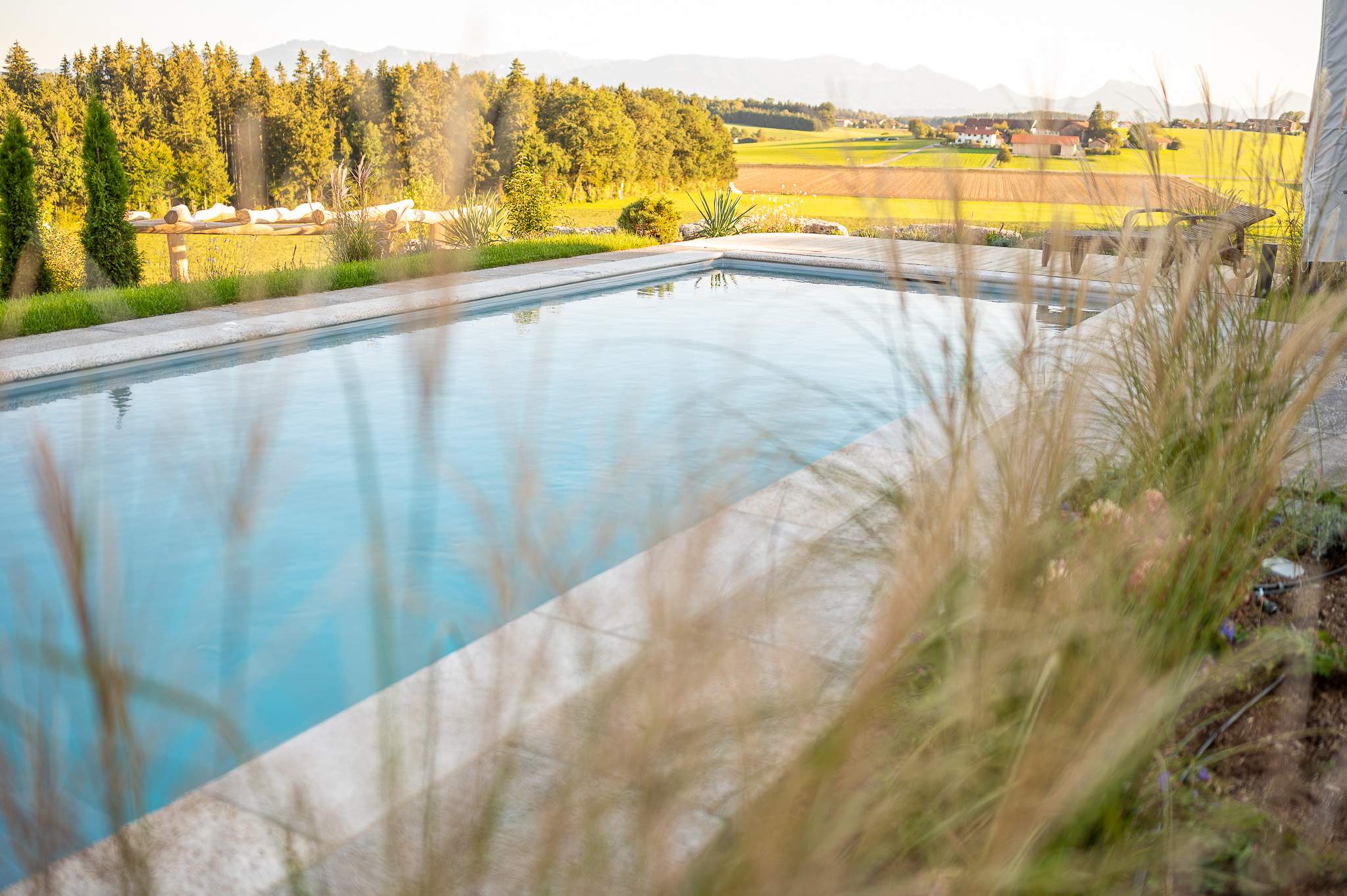 Bio-Pool Biotop Livingpool Bio-Pool Biotop Livingpool
