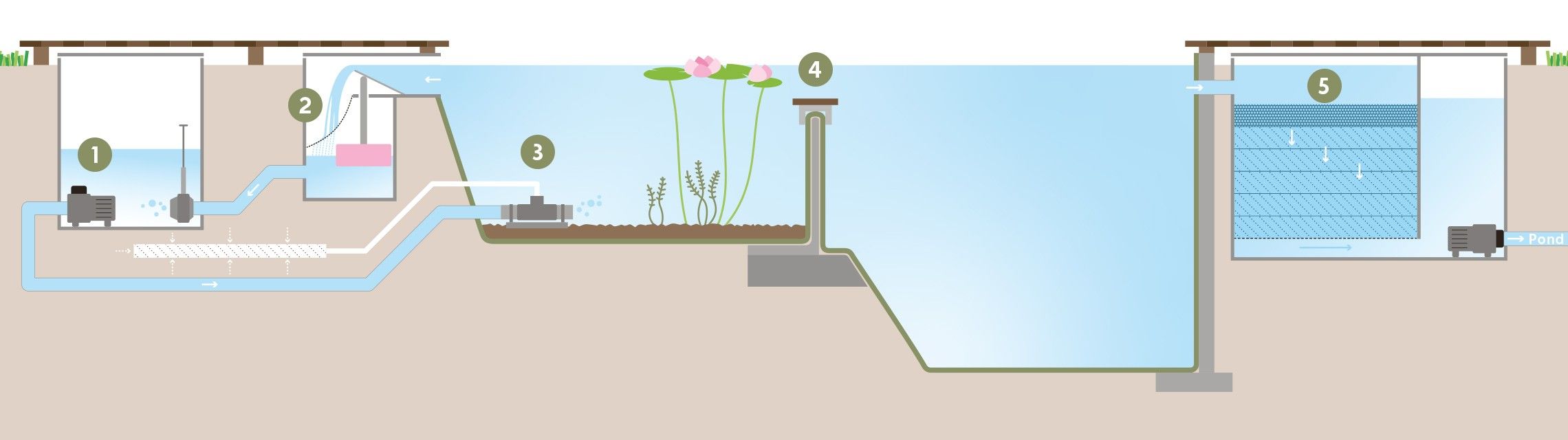 Schwimmteich Schema