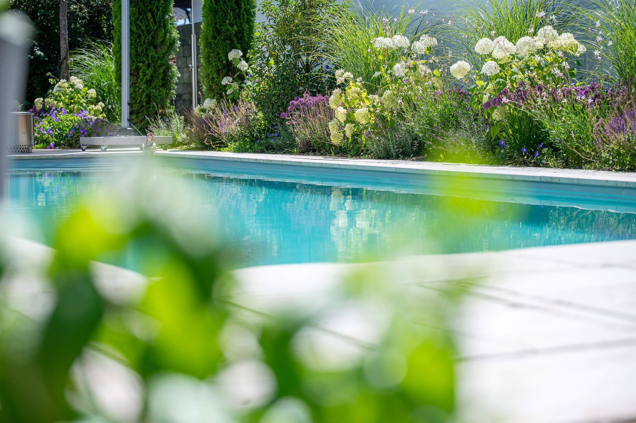 Naturpool mit Bepflanzung